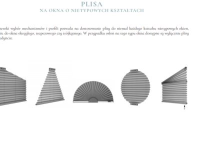 PLISA NIETYP